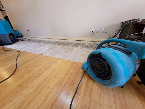 Professional Flood Damage Cleanup technician working in Greenwood, SC
